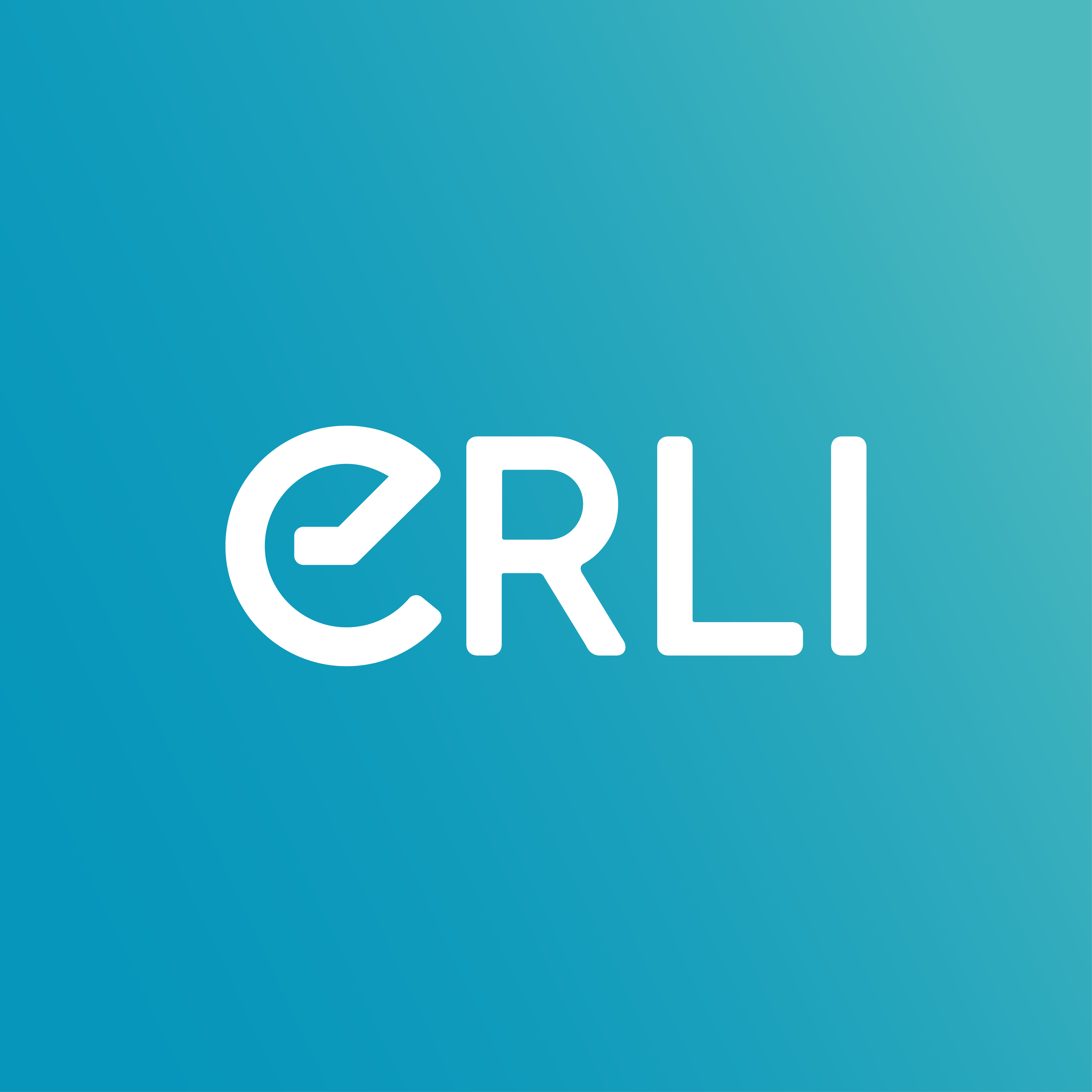 Erli.pl